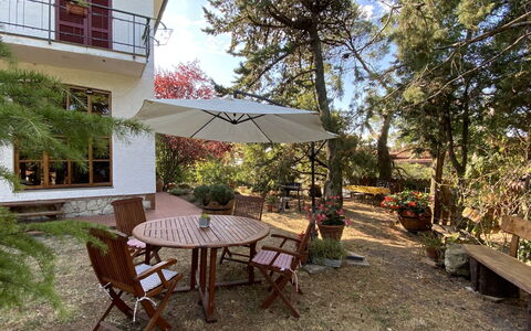 Sonia: Table, Plante, Meubles, Bâtiment, Tableau De Plein Air, Chaise, Ombre, Arbre, Mobilier De Jardin, Fenêtre