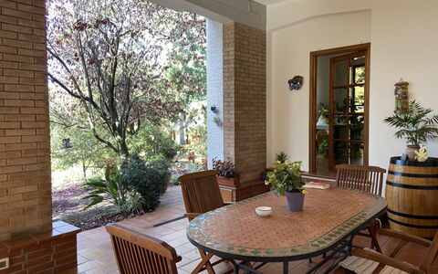 Sonia: Table, Plante, Meubles, Propriété, Plante D'Appartement, Pot De Fleur, Chaise, Bois, Ombre, Éclairage