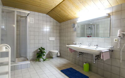 Apart Maashof Ii 1.2: Robinet, Plante, Évier, Miroir, Luminaire Plomberie, Lavabo, Bâtiment, Salle De Bains, Design Intérieur
