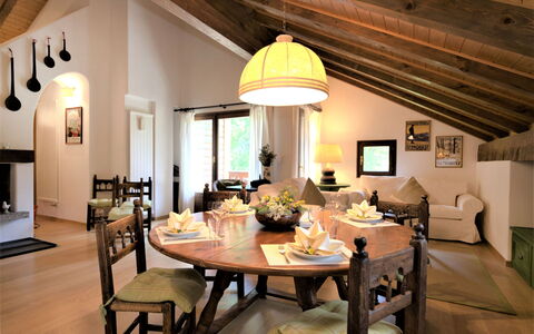 Chesa Seglias 6: Table, Meubles, Propriété, Chaise, Bois, Design Intérieur, Bâtiment, Plante, Sol, Plante D'Appartement