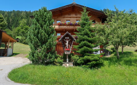 Jaggler: Plante, Ciel, Bâtiment, Arbre, Zone Résidentielle, Herbe, Arbuste, Paysage, Paysage Naturel, Ombre