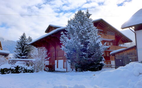 Saanen 100: Nuage, Ciel, Neige, Bâtiment, Plante, Fenêtre, Arbre, Maison, Branche, Mélèze