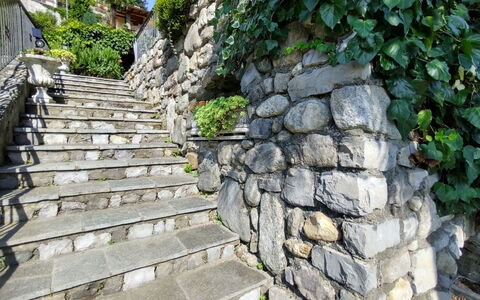 Villa Massimo: Plante, Escaliers, Substrat Rocheux, Surface De La Route, Herbe, Paysage, Couverture De Sol, Mur De Pierre, Bois, Dalle
