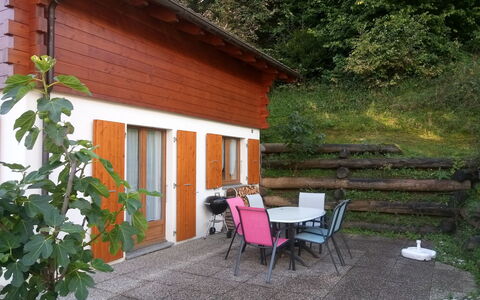 Ambigu: Plante, Bâtiment, Propriété, Fenêtre, Chaise, Chalet, Ombre, Maison, Arbre, Herbe