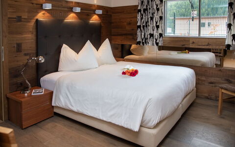 Chesa Piz Mezdi - St. Moritz: Bois, Design Intérieur, Meubles, Éclairage, Plafond, Chambre, Lit, Pièce, Throw Pillow, Appartement