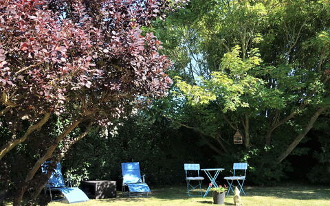 Les Hortensias: Plante, Feuille, Botanique, Arbre, Branche, Fleur, Ombre, Paysage Naturel, Brindille, Biome