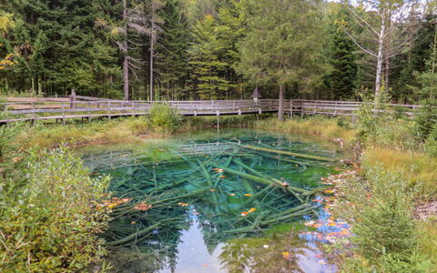 Chalet Bodental 28: L'Eau, Plante, Paysage Naturel, Environnement Naturel, Arbre, Plan D'Eau, Cours D'Eau, Lac