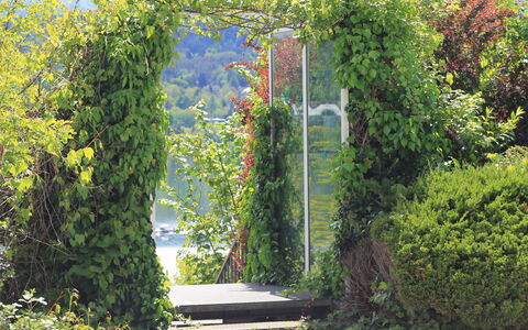 Vinzek: Plante, Propriété, Communauté Des Plantes, Paysage Naturel, Ombre, Herbe, Arbuste, Haie, Couverture De Sol, Paysage