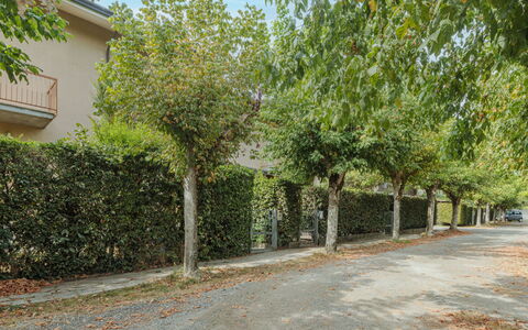 La Rocchetta: Plante, Fenêtre, Ciel, Surface De La Route, Bâtiment, Lot Terre, Ombre, Herbe, Arbre, Haie