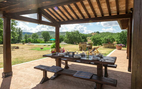 Casale Poggio Lupinaio: Plante, Ciel, Propriété, Table, Ombre, Bois, Design Intérieur, Arbre, Mobilier De Jardin, Extérieur Banc