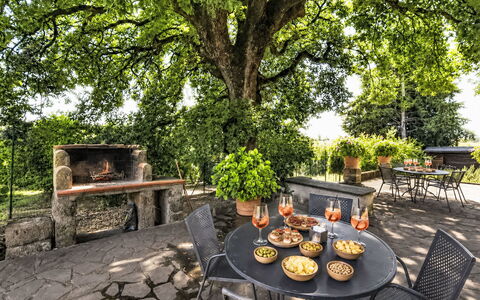 La Quercia: Meubles, Mobilier De Jardin, Table, Jardin, Tableau De Plein Air, Chaise, Ombre, Printemps, Tronc, Lumière Du Soleil