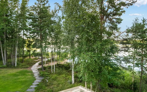 Torniniemi: Feuille, Arbre, Vert, Végétation, Arbuste, Communauté Des Plantes, Tronc, Printemps, Suppression Des Plantes Ligneuses, Jardin