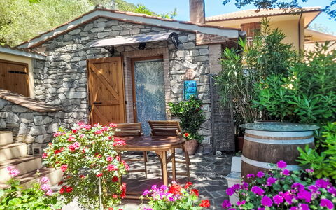 Home Relax: Fleur, Arbuste, Pot De Fleur, Jardin, Porte, Chalet, Couverture De Sol, Printemps, Plante D'Appartement