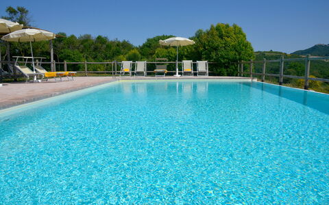 Villa Guardistallo: L'Eau, Ciel, Propriété, Piscine, Bleu Azur, Plan D'Eau, Arbre, Loisir, Aqua, Plante