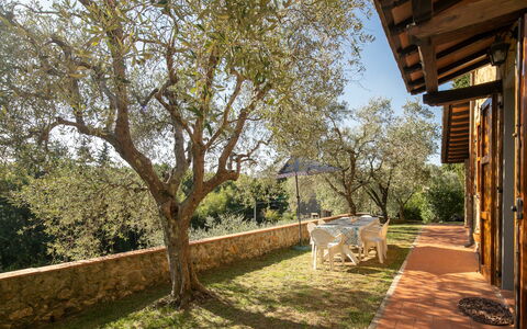 Casa Del Colle: Plante, Ciel, Arbre, Ombre, Herbe, Paysage Naturel, Bois, Bâtiment, Paysage, Teintes Et Ombres
