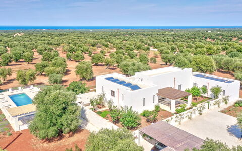 Villa Orama Estia Relais: Ciel, Jour, Plante, Végétation, Lot Terre, Arbre, Design Urbain, Bâtiment, Quartier, Zone Résidentielle