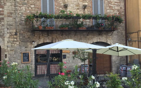 La Terrazza Di Todi: Plante, Fenêtre, Propriété, Fleur, Pot De Fleur, Plante D'Appartement, Bâtiment, Éclairage, Surface De La Route, Parapluie