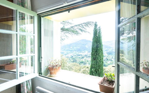 Les Ondes: Plante, Bâtiment, Propriété, Fleur, Plante D'Appartement, Fenêtre, Pot De Fleur, Bleu Azur, Ombre, Design Intérieur