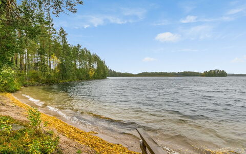 Aurinkoranta: Herbe, Maison, Chalet, Lot Terre, Domicile, Biens, Pelouse, Siding, Ferme, Porche