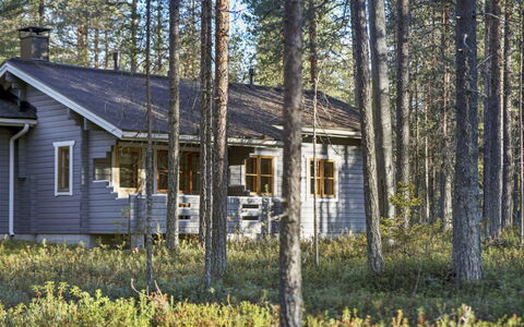 Purnukka: Bois, Sol, Sol, Meubles, Parquet, Design Intérieur, Lit Superposé, Pièce, Tache De Bois, Dur