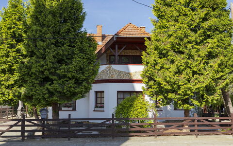 Tamas: Arbre, Maison, Domicile, Ombre, Aménagement Paysager, À Feuilles Persistantes, Mélèze