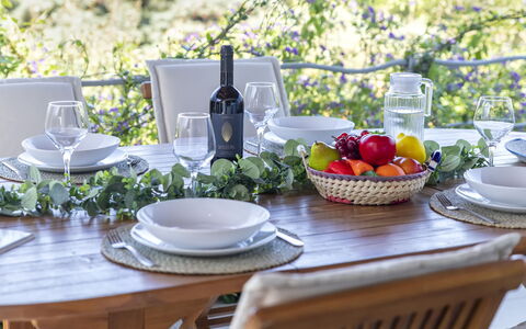 Shardana: Table, Vaisselle, Meubles, Vaisselle, Vert, Plante, Assiette, Aliments, Coupe, Textile