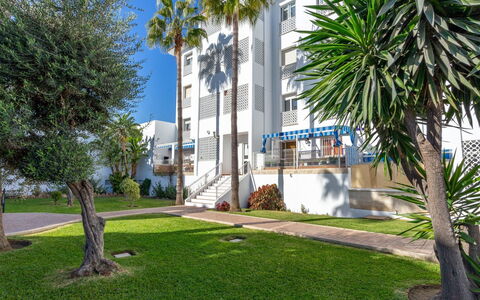 Mirador del Saltillo: Plante, Bâtiment, Arbre, Fenêtre, Ciel, Design Urbain, Arecales, Herbe, Quartier, Zone Résidentielle