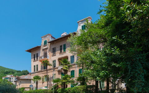 Emillia: Ciel, Bâtiment, Plante, Voiture, Véhicule, Fenêtre, Arbre, Maison