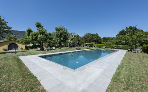 Villa Chio: L'Eau, Ciel, Piscine, Plante, Arbre, Ombre, Plan D'Eau, Rectangle, Bâtiment, Zone Résidentielle