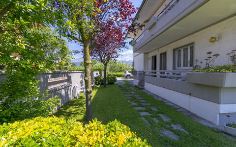 Pontremoli Apartments: Plante, Jour, Ciel, Bâtiment, Botanique, La Nature, Arbre, Jaune, Fleur, Végétation