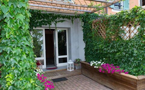 Sant'Evasio: Fleur, Plante, Propriété, Bâtiment, Botanique, Architecture, Porte, Fenêtre, Mur