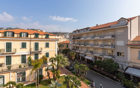 Intemelia