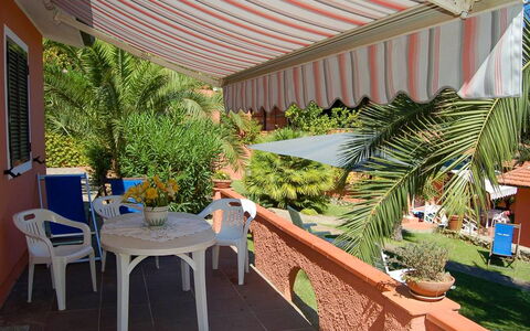Capoliveri 280: Plante, Meubles, Ombre, Chaise, Mobilier De Jardin, Plante D'Appartement, Table, Pot De Fleur, Loisir, Bois