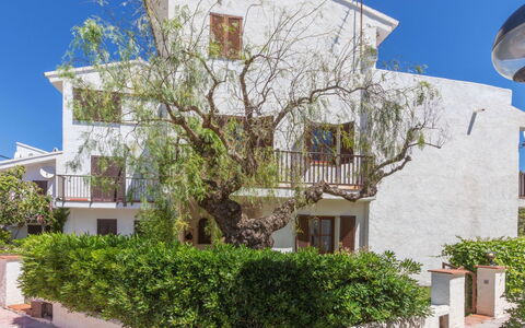 Blanca Mediterranea: Bâtiment, Mur, Fenêtre, Zone Résidentielle, Maison, Façade, Quartier, Domicile, Arbuste, Établissements Humains