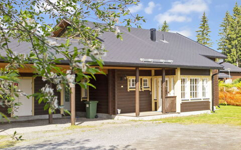 Tahkontupa: Toit, Maison, Chalet, Domicile, Zone Résidentielle, Lot Terre, Siding, Ombre, Porche, Biens