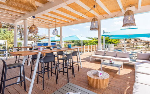 Porto Cesareo 604: Table, Propriété, Meubles, Pot De Fleur, Chaise, Plante, Mobilier De Jardin, Ciel, Ombre, Design Intérieur