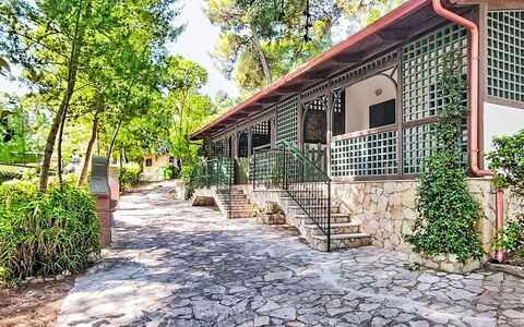 Happy Easy: Ombre, Jardin, Dalle, Structure En Plein Air, Aménagement Paysager, Cour, Arrière-Cour, Hacienda, Eco Hôtel, Porche