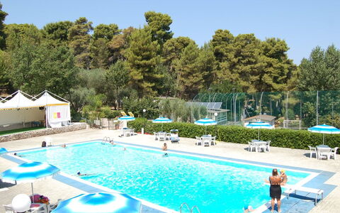 Happy Easy: L'Eau, Ciel, Plante, Propriété, Piscine, Bleu Azur, Bleu, Arbre, Plan D'Eau, Loisir