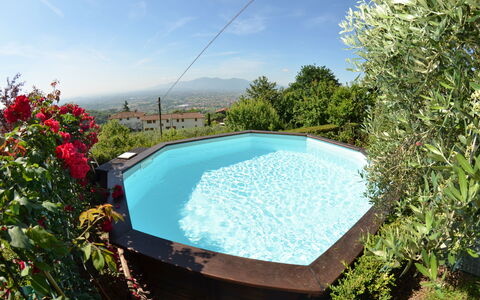 Alla Collina Del Sole: L'Eau, Ciel, Fleur, Piscine, Nuage, La Nature, Plante, Rectangle, Ombre, Mobilier De Jardin
