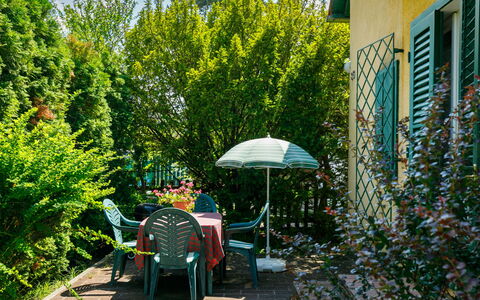 Schilf: Plante, Bâtiment, Feuille, Parapluie, Chaise, Arbre, Ombre, Tente, Mobilier De Jardin, Herbe