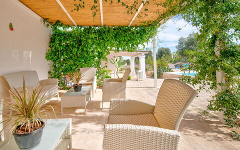 Masseria Tufo Bianco: Plante, Meubles, Table, Chaise, Plante D'Appartement, Mobilier De Jardin, Ombre, Pot De Fleur, Arbre, Arecales