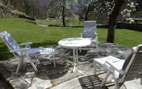 Signorile: Table, Meubles, Propriété, Plante, Chaise, Arbre, Tableau De Plein Air, Feuille, Botanique, Mobilier De Jardin