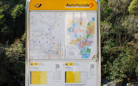 Signorile: Plante, Carte, Monde, La Nature, Environnement Naturel, Police De Caractère, Jaune, Ligne, Arbre, Dispositif De Communication