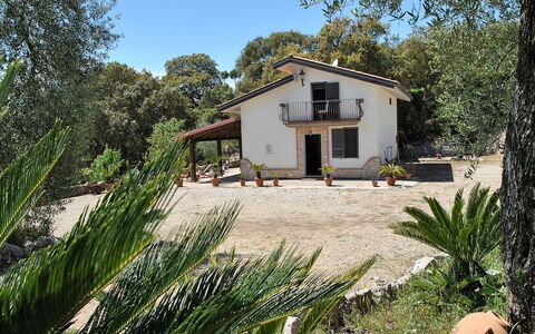 Cycas: Plante, Ciel, Bâtiment, Propriété, Fenêtre, Communauté Des Plantes, Maison, Arbre, Lot Terre, Chalet