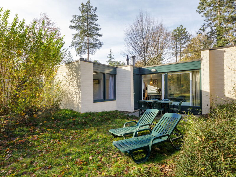 Premium Cottage