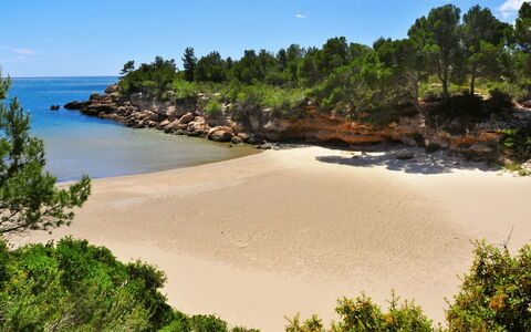 Villa Cantos: L'Eau, Ciel, Ressources En Eau, Nuage, Communauté Des Plantes, Écorégion, Paysage Naturel, Arbre, Plante, Végétation