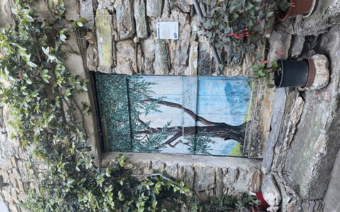 Valloria 609: Plante, Fenêtre, Branche, Bois, Brindille, Mur, Suppression Des Plantes Ligneuses, Bâtiment, Tronc, Teintes Et Ombres