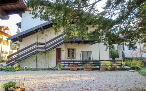 Il Faro: Plante, Bâtiment, Fenêtre, Botanique, Arbre, Végétation, Jaune, Surface De La Route, Quartier, Chalet