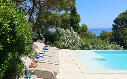 Casa Blue Art: Piscine, Mobilier De Jardin, Recours, Ombre, Balancelle, Eco Hôtel, Loisir, Jardin, Tropiques, Chaise