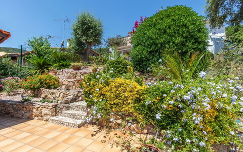 El Suro: Fleur, Arbuste, Jardin, Plante À Fleurs, Aménagement Paysager, Jardin Botanique, Cour